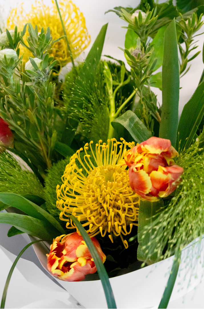 Vibrant Form