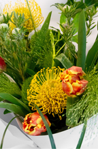 Vibrant Form