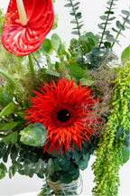 Vibrant Form