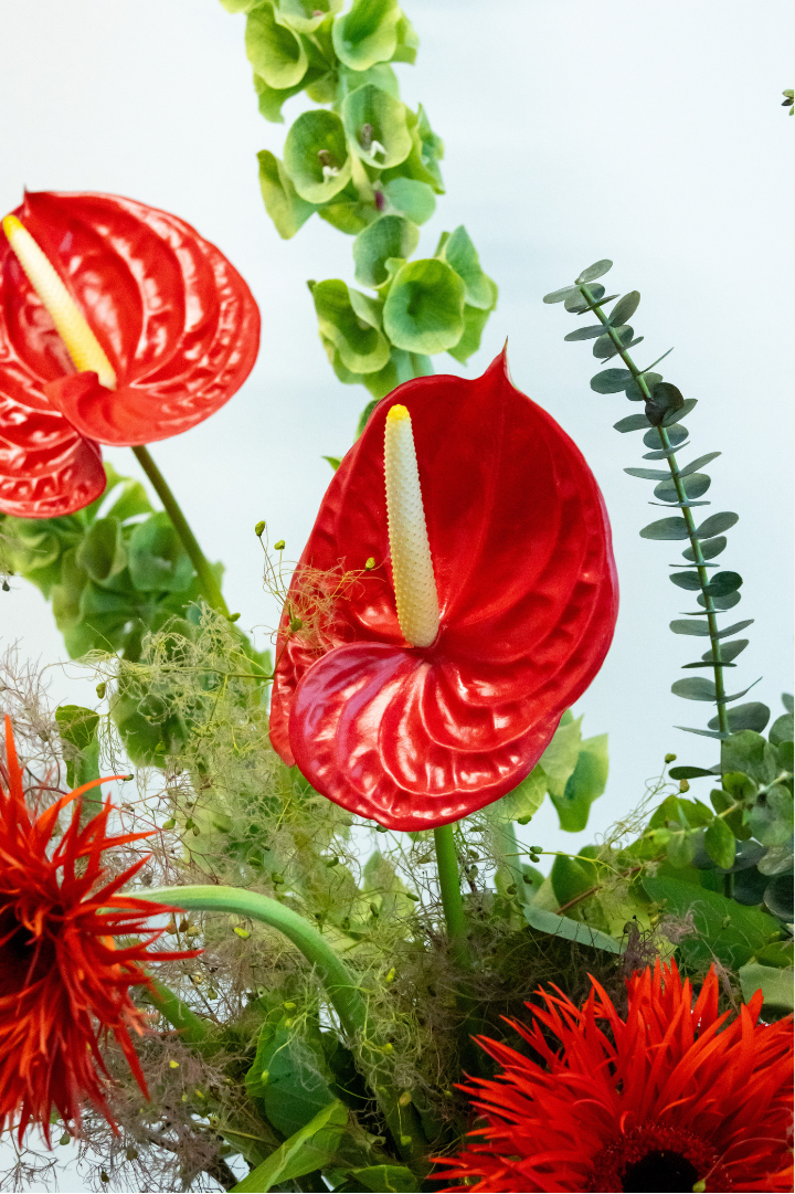 Vibrant Form