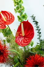 Vibrant Form